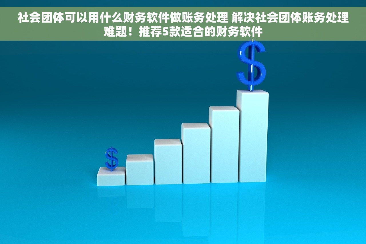 社会团体可以用什么财务软件做账务处理 解决社会团体账务处理难题！推荐5款适合的财务软件