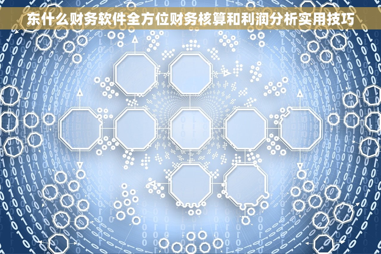 东什么财务软件全方位财务核算和利润分析实用技巧