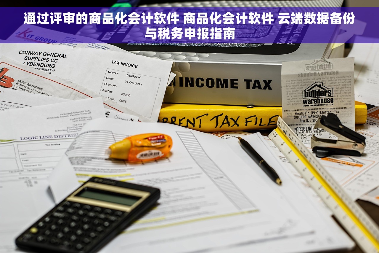 通过评审的商品化会计软件 商品化会计软件 云端数据备份与税务申报指南