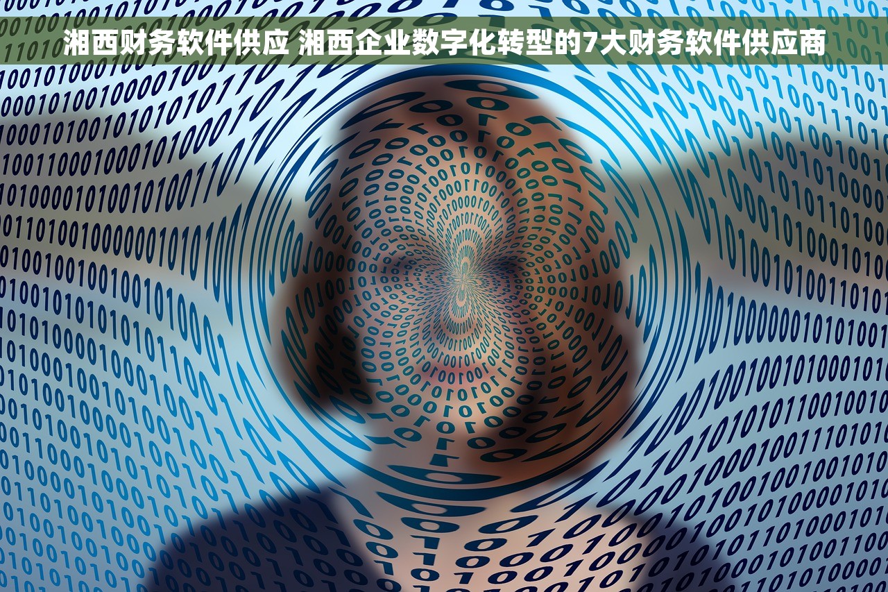 湘西财务软件供应 湘西企业数字化转型的7大财务软件供应商