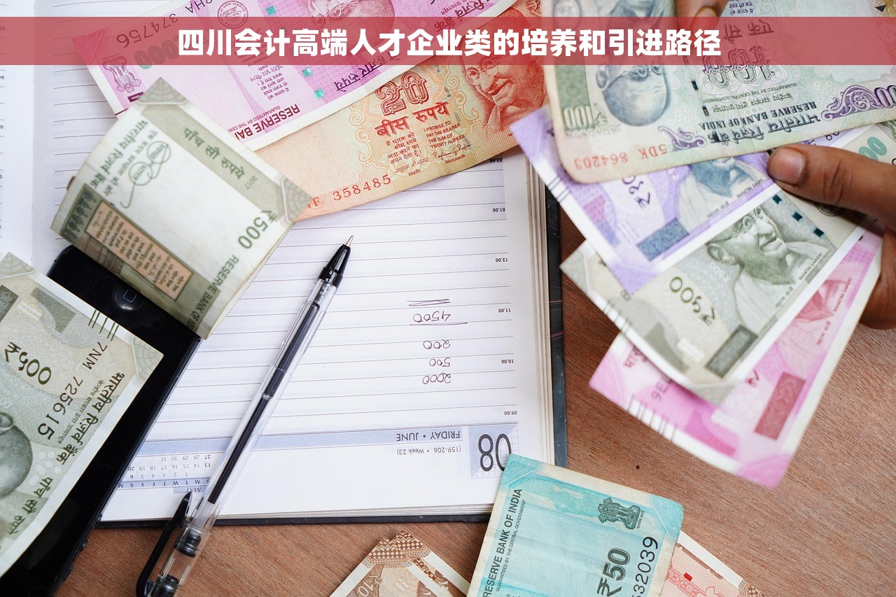 四川会计高端人才企业类的培养和引进路径