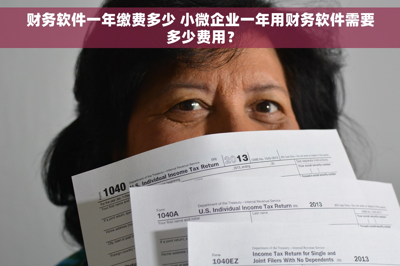 财务软件一年缴费多少 小微企业一年用财务软件需要多少费用？