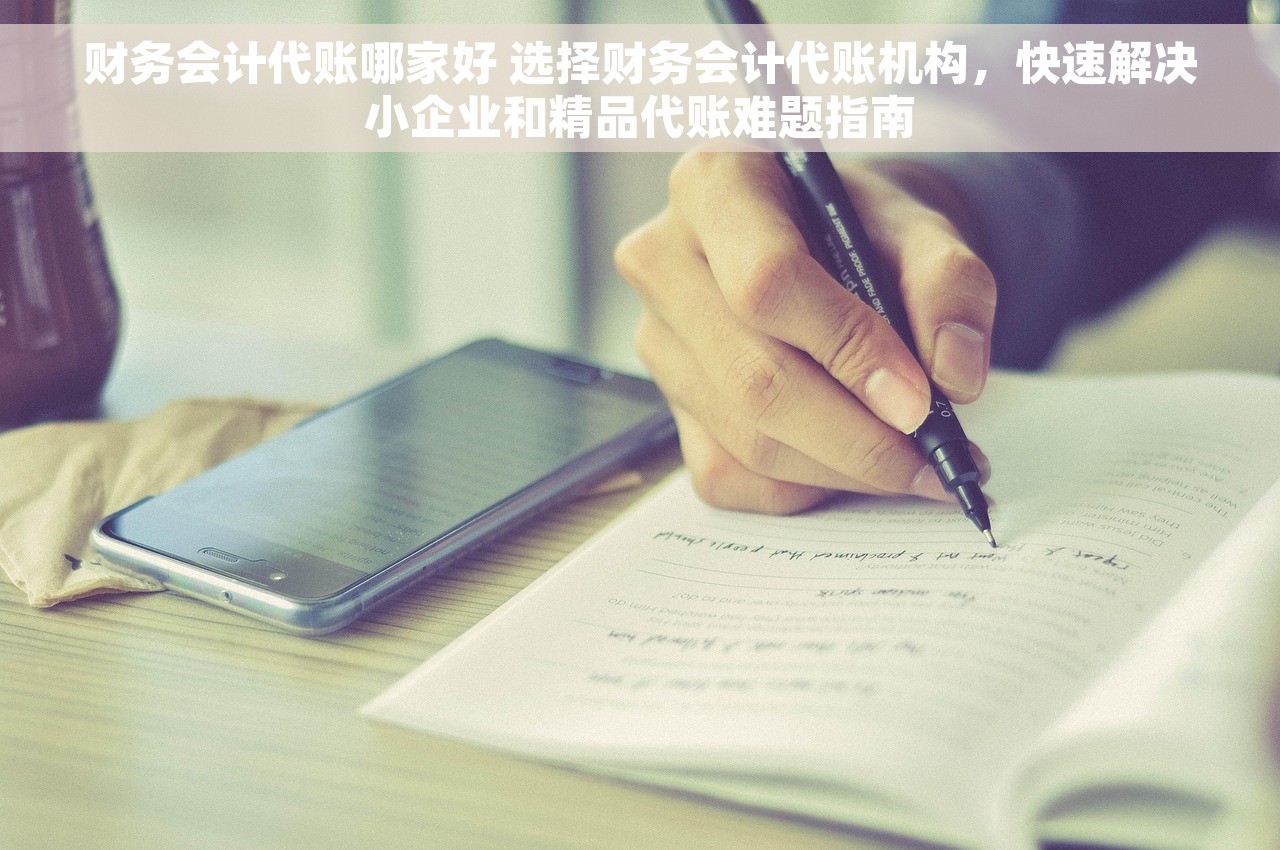 财务会计代账哪家好 选择财务会计代账机构，快速解决小企业和精品代账难题指南
