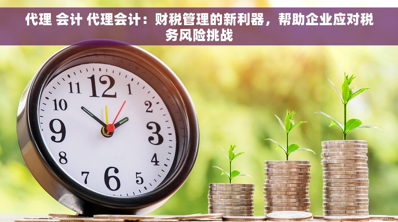 代理 会计 代理会计：财税管理的新利器，帮助企业应对税务风险挑战