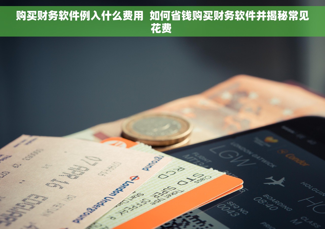 购买财务软件例入什么费用  如何省钱购买财务软件并揭秘常见花费 