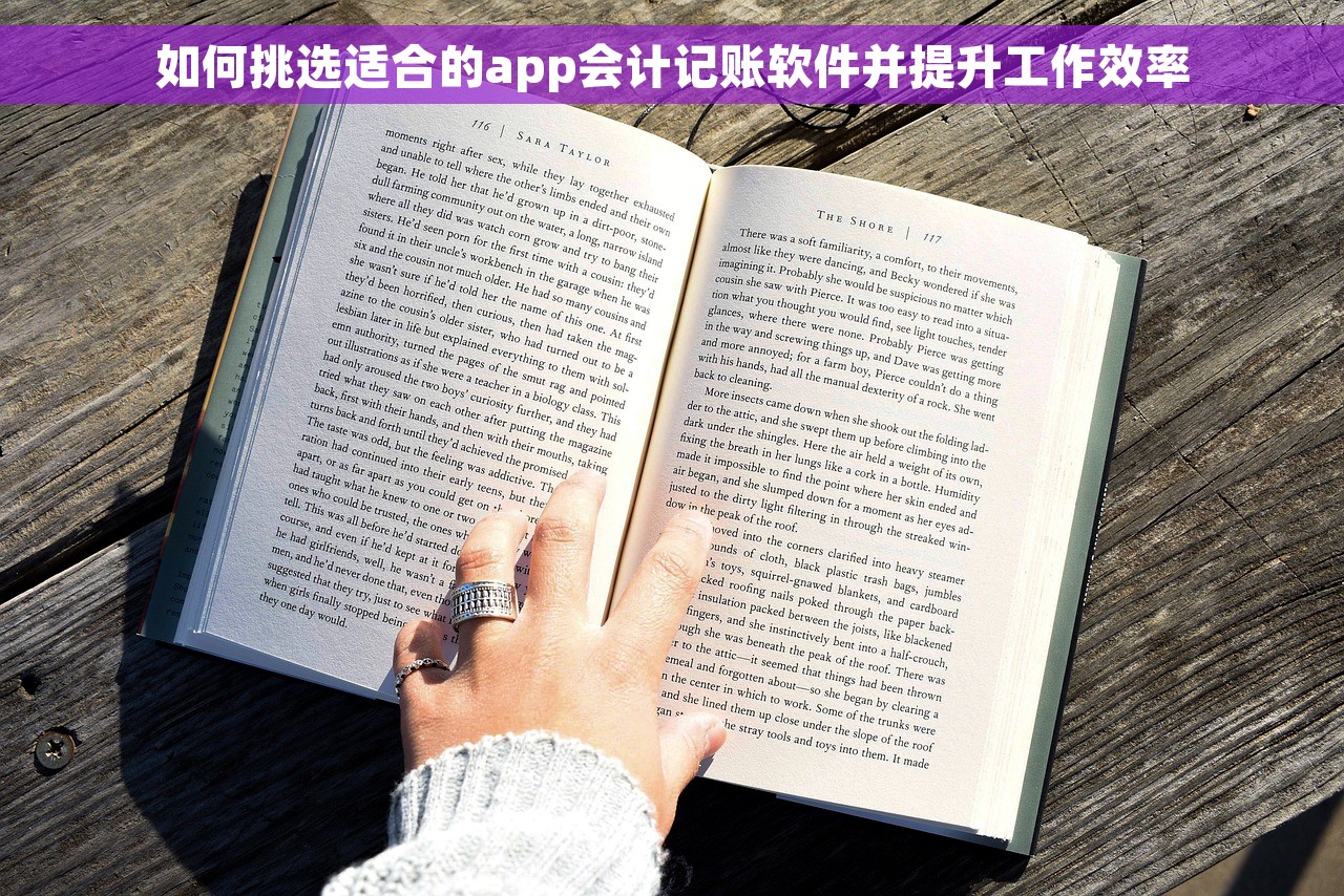 如何挑选适合的app会计记账软件并提升工作效率