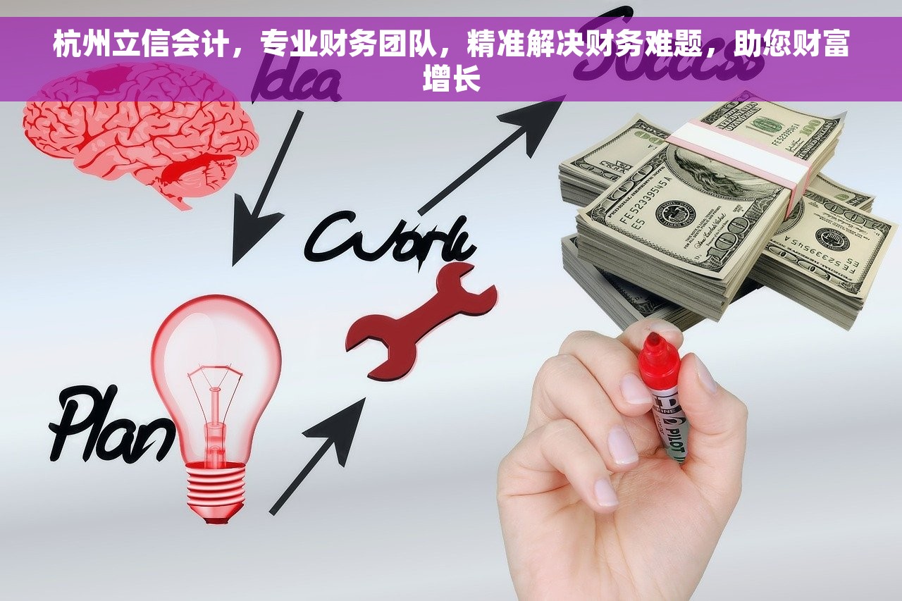 杭州立信会计，专业财务团队，精准解决财务难题，助您财富增长