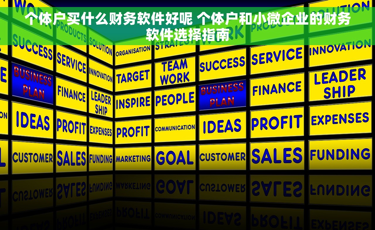 个体户买什么财务软件好呢 个体户和小微企业的财务软件选择指南