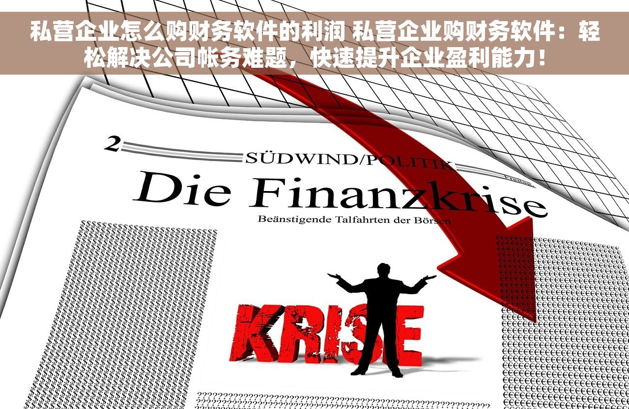 私营企业怎么购财务软件的利润 私营企业购财务软件：轻松解决公司帐务难题，快速提升企业盈利能力！
