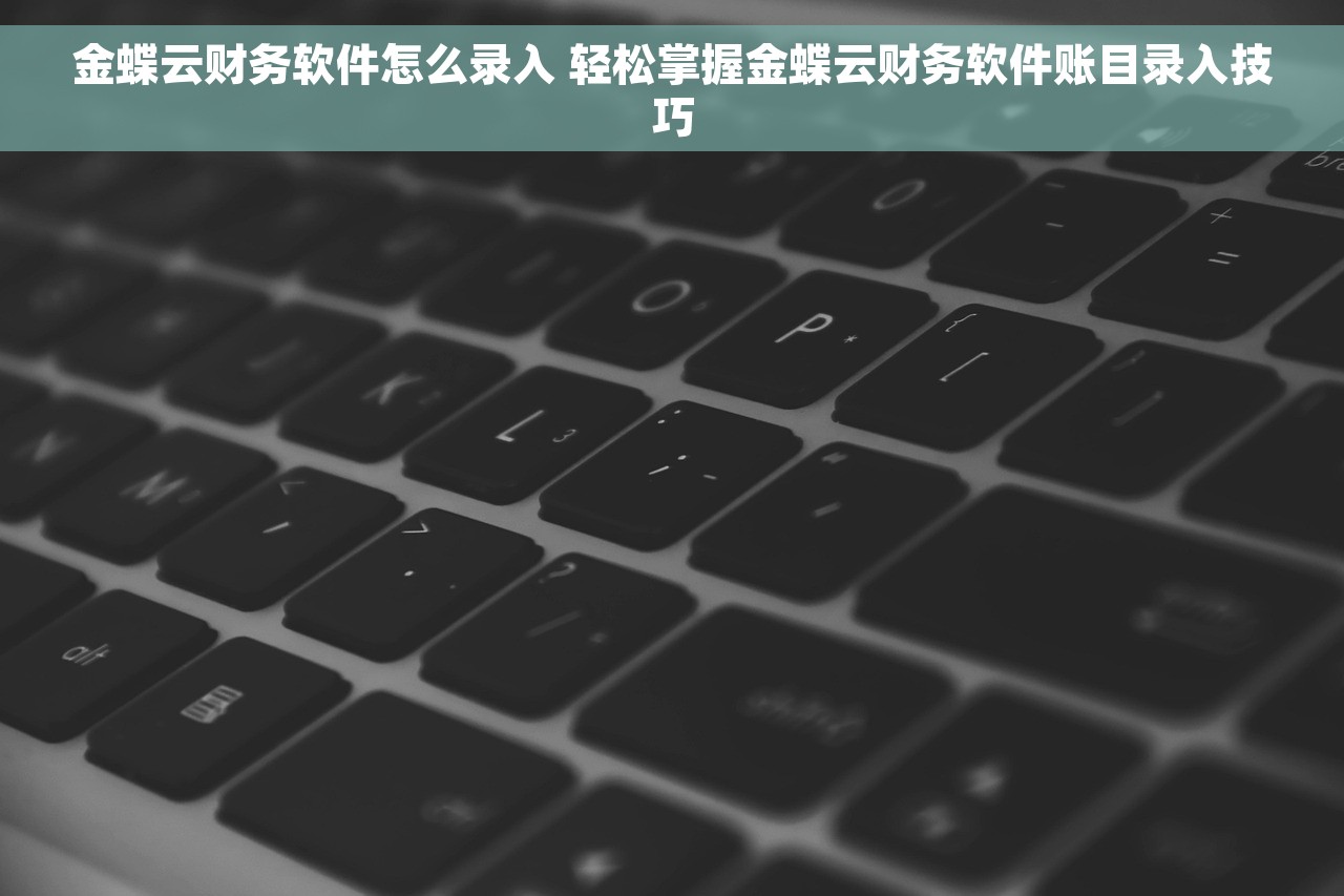 金蝶云财务软件怎么录入 轻松掌握金蝶云财务软件账目录入技巧