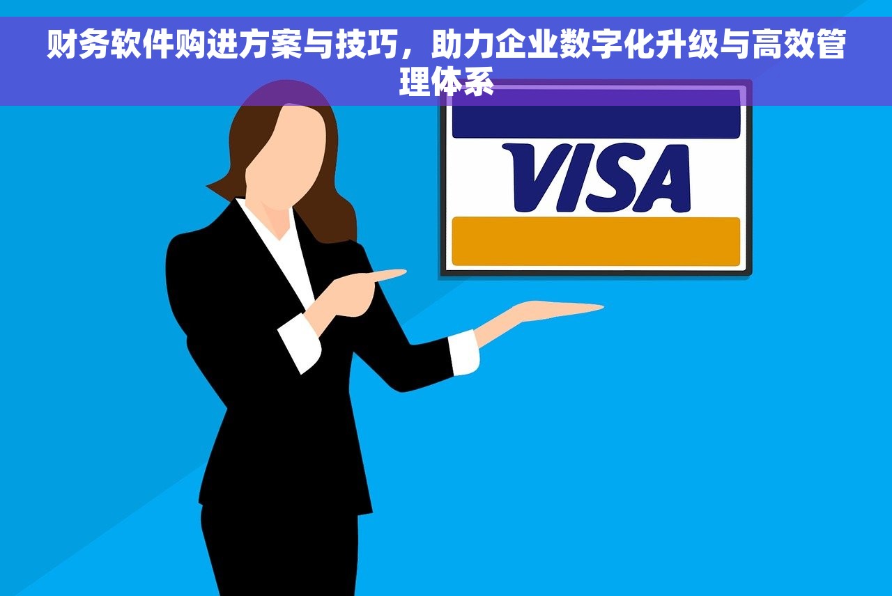 财务软件购进方案与技巧，助力企业数字化升级与高效管理体系