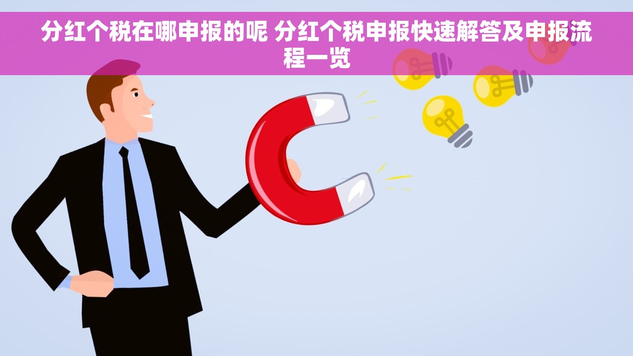 分红个税在哪申报的呢 分红个税申报快速解答及申报流程一览