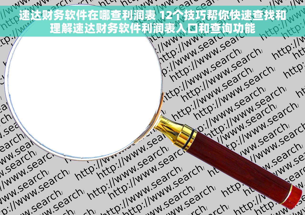 速达财务软件在哪查利润表 12个技巧帮你快速查找和理解速达财务软件利润表入口和查询功能