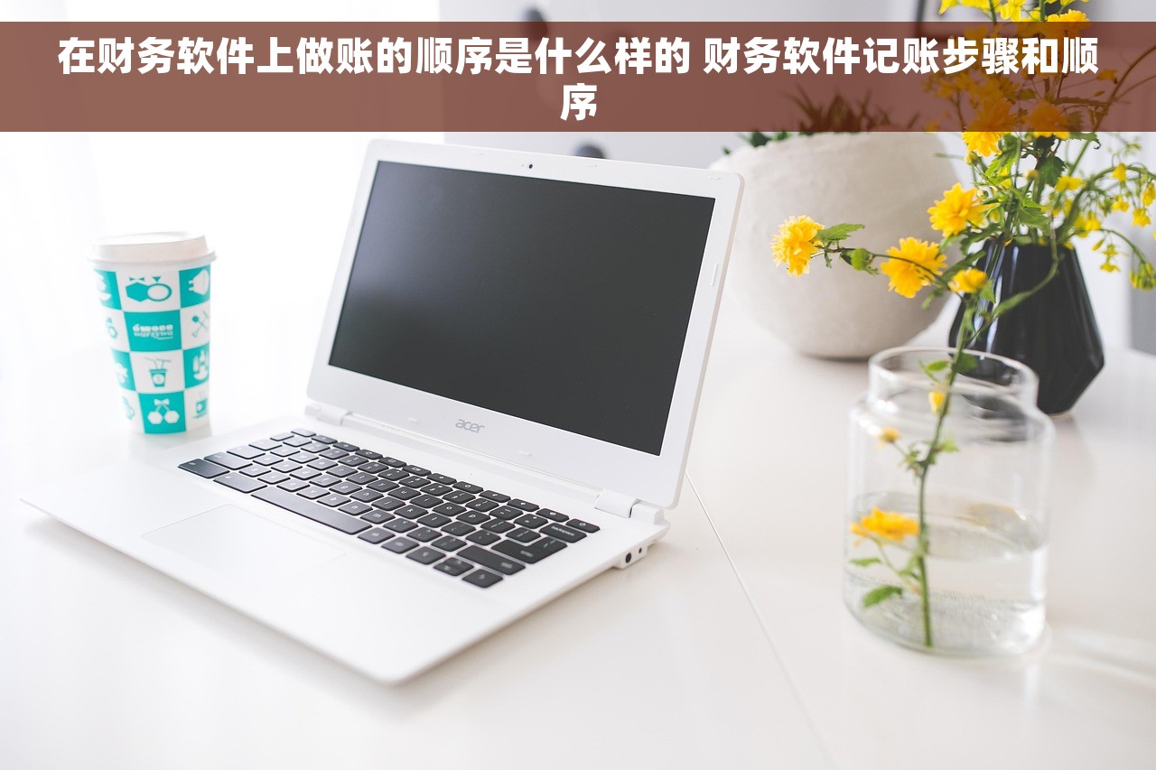 在财务软件上做账的顺序是什么样的 财务软件记账步骤和顺序