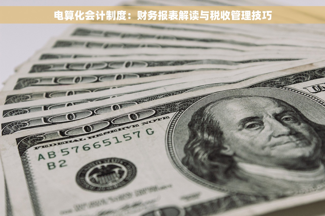 电算化会计制度：财务报表解读与税收管理技巧