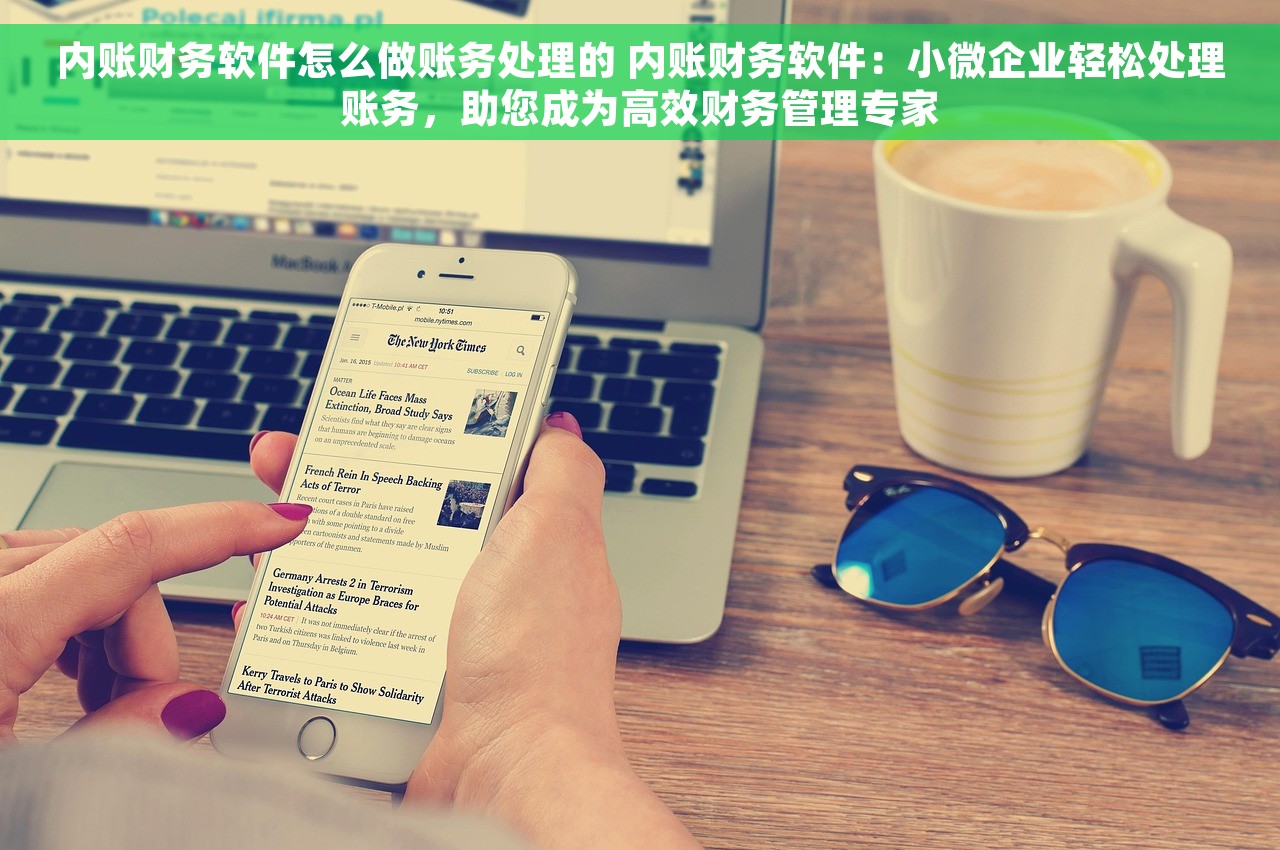 内账财务软件怎么做账务处理的 内账财务软件：小微企业轻松处理账务，助您成为高效财务管理专家