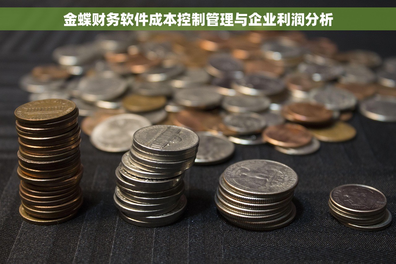 金蝶财务软件成本控制管理与企业利润分析