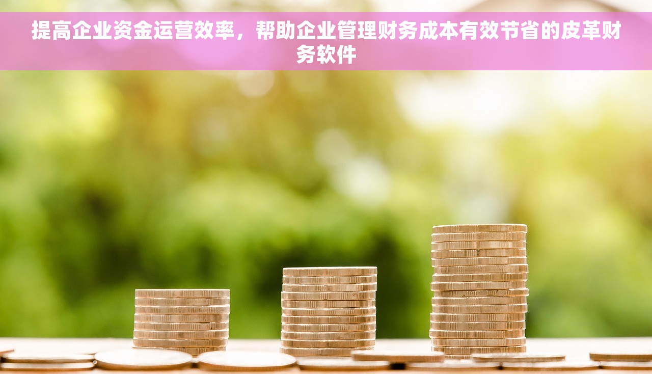 提高企业资金运营效率，帮助企业管理财务成本有效节省的皮革财务软件