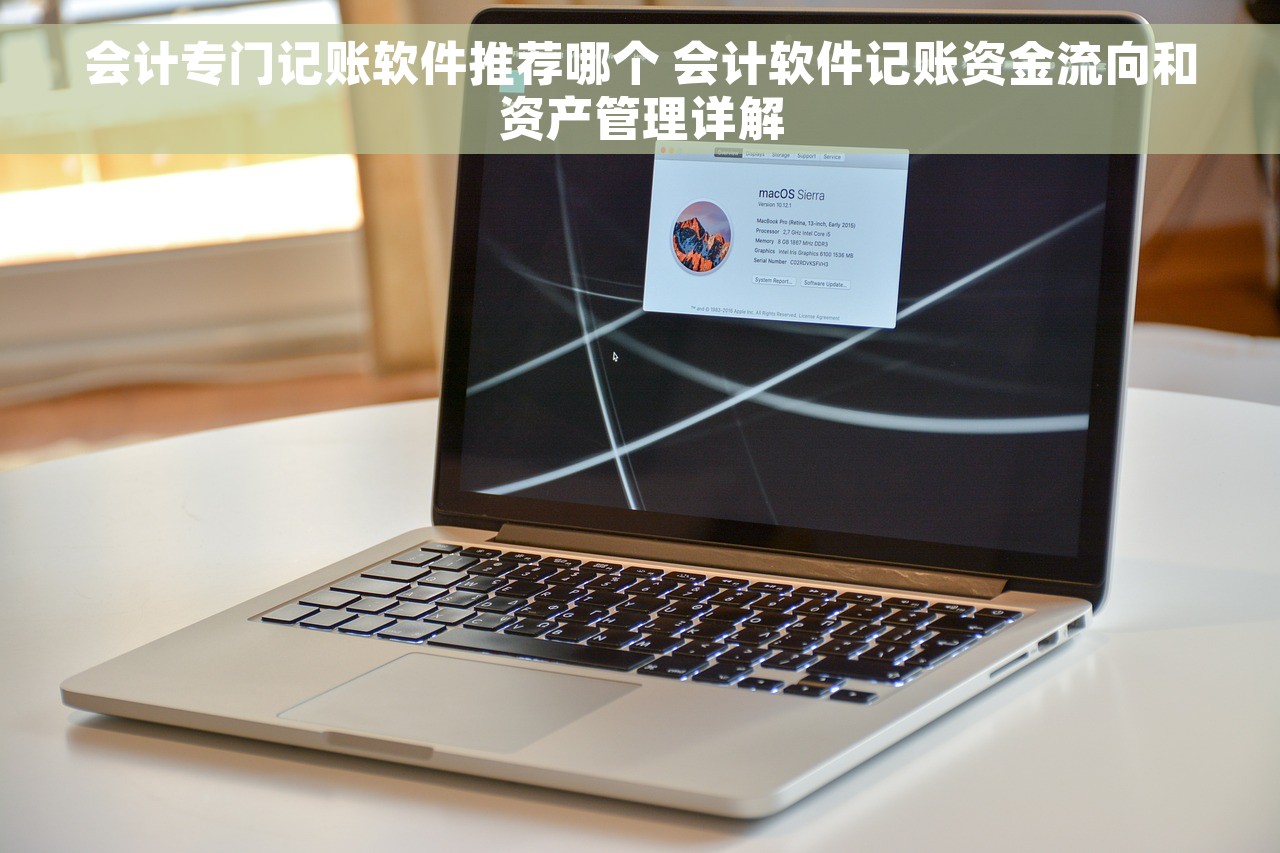 会计专门记账软件推荐哪个 会计软件记账资金流向和资产管理详解