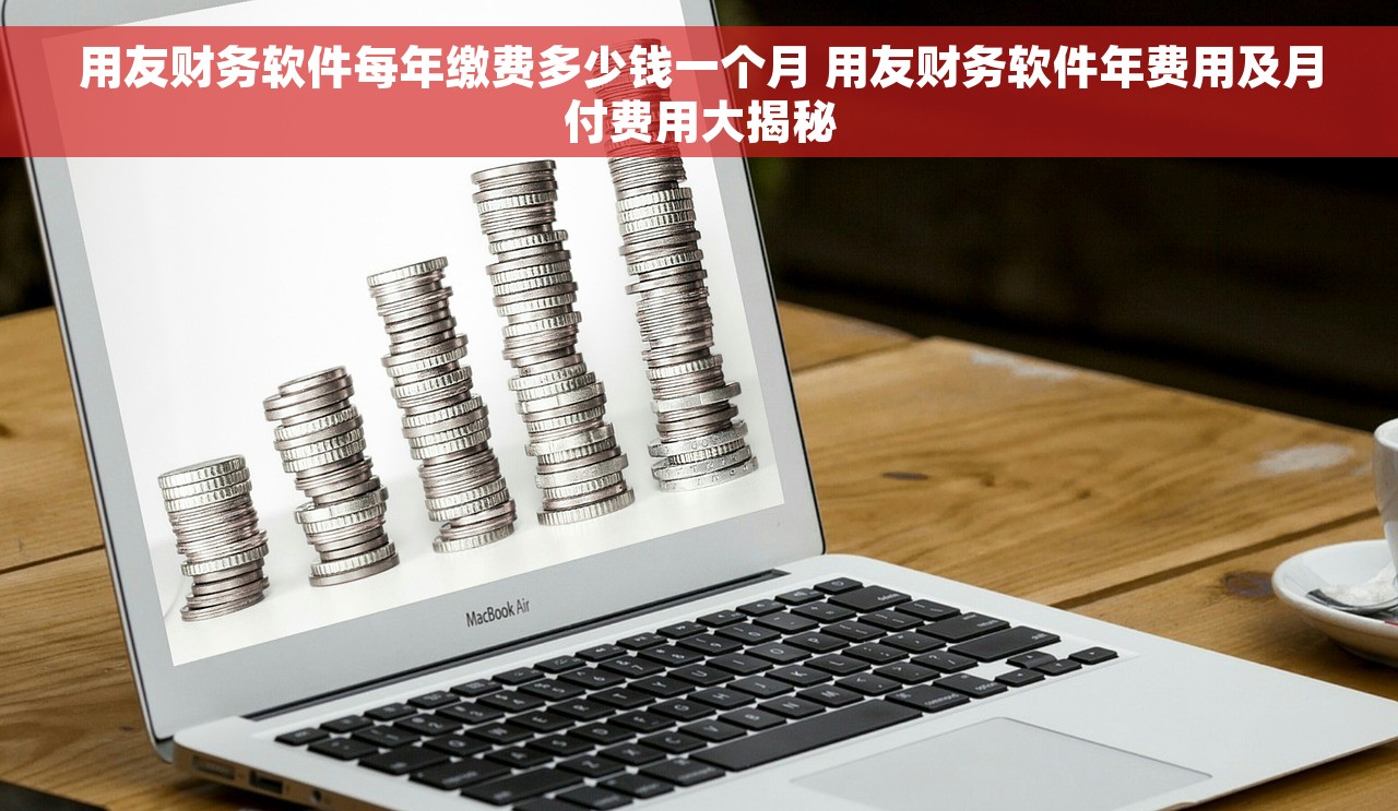 用友财务软件每年缴费多少钱一个月 用友财务软件年费用及月付费用大揭秘