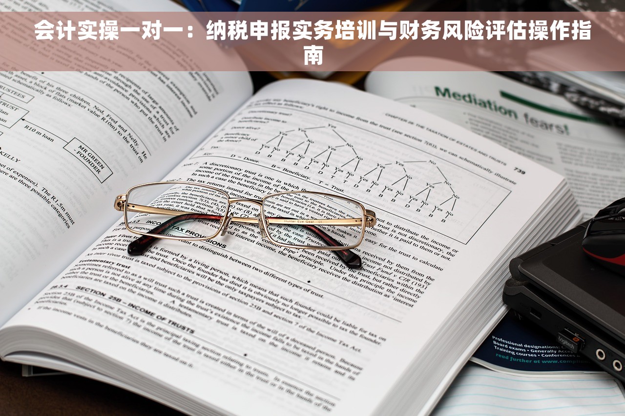会计实操一对一：纳税申报实务培训与财务风险评估操作指南