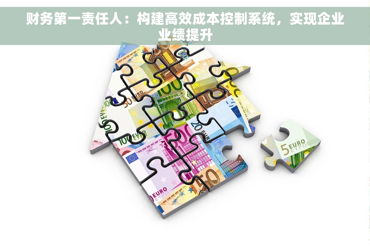 财务第一责任人：构建高效成本控制系统，实现企业业绩提升
