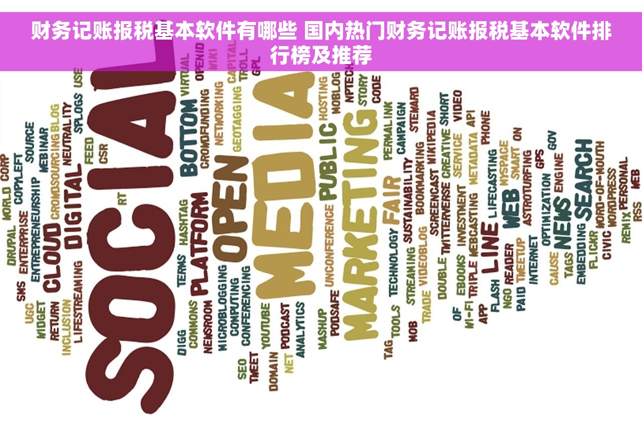 财务记账报税基本软件有哪些 国内热门财务记账报税基本软件排行榜及推荐