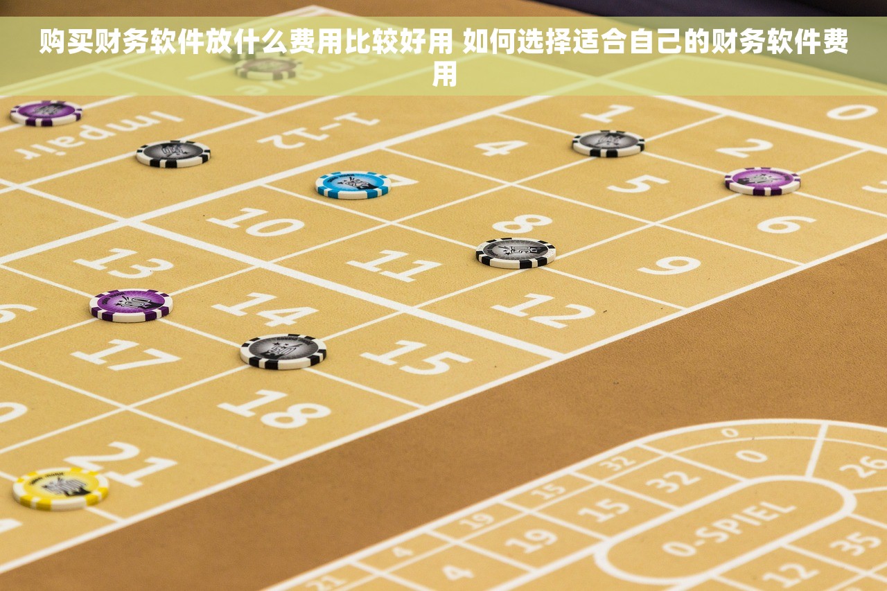购买财务软件放什么费用比较好用 如何选择适合自己的财务软件费用