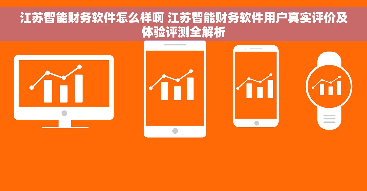 江苏智能财务软件怎么样啊 江苏智能财务软件用户真实评价及体验评测全解析