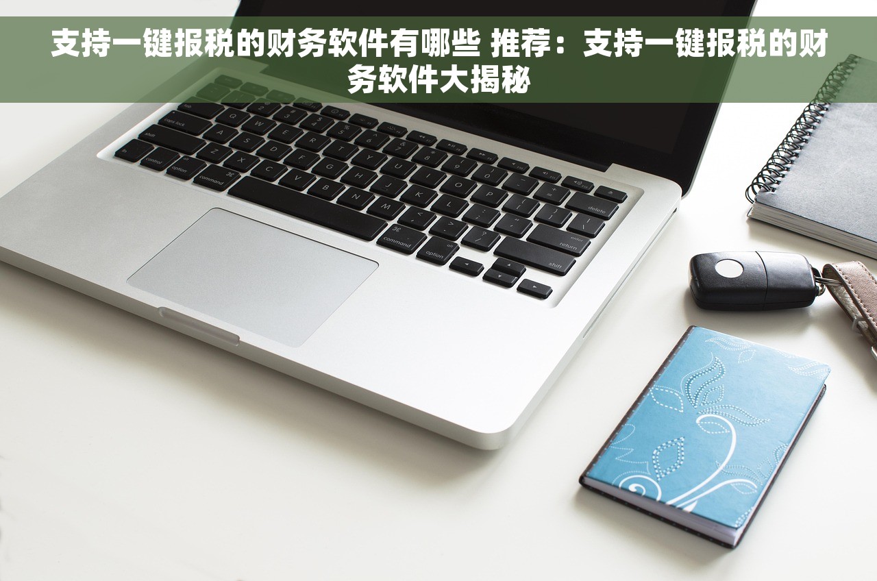 支持一键报税的财务软件有哪些 推荐：支持一键报税的财务软件大揭秘