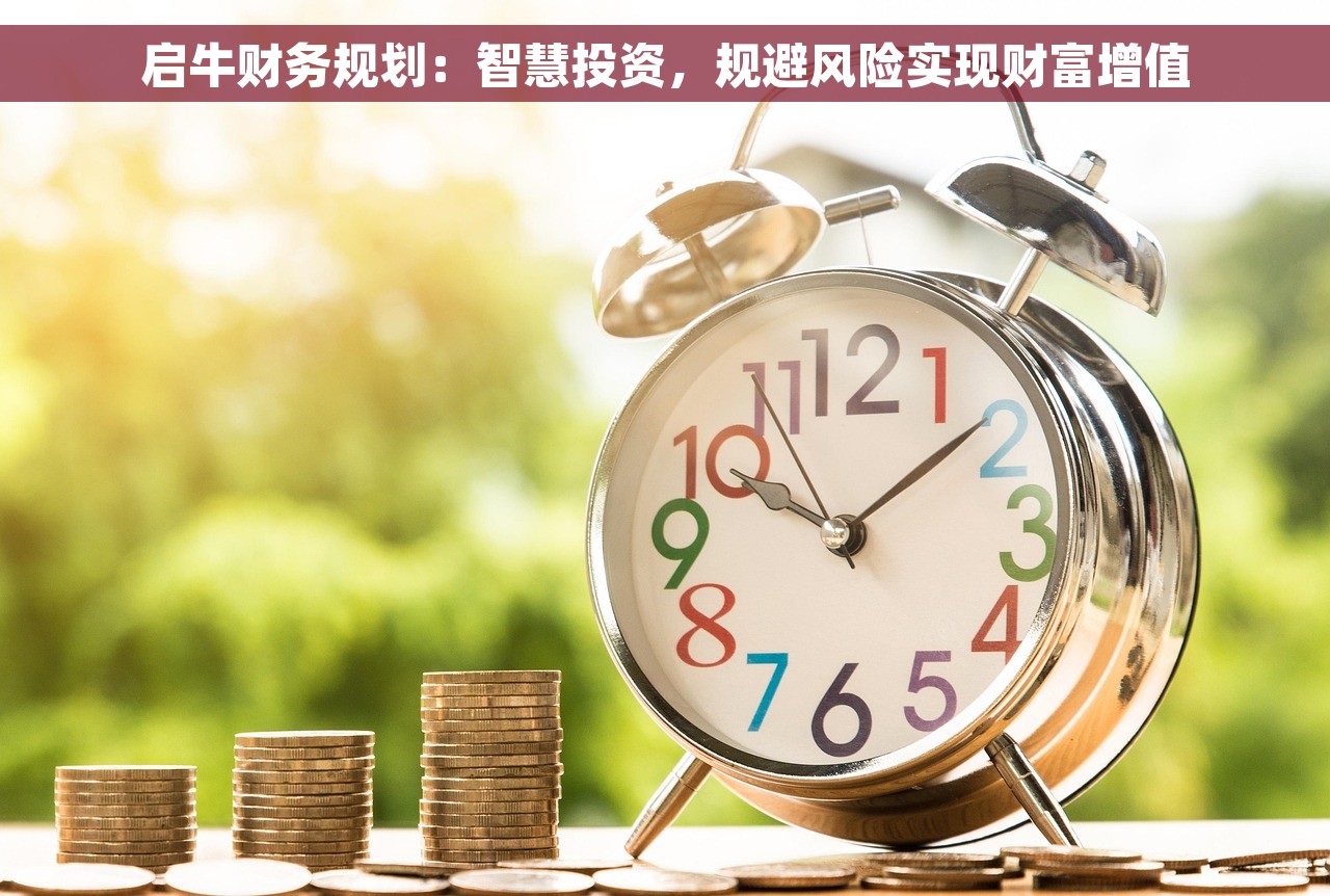 启牛财务规划：智慧投资，规避风险实现财富增值
