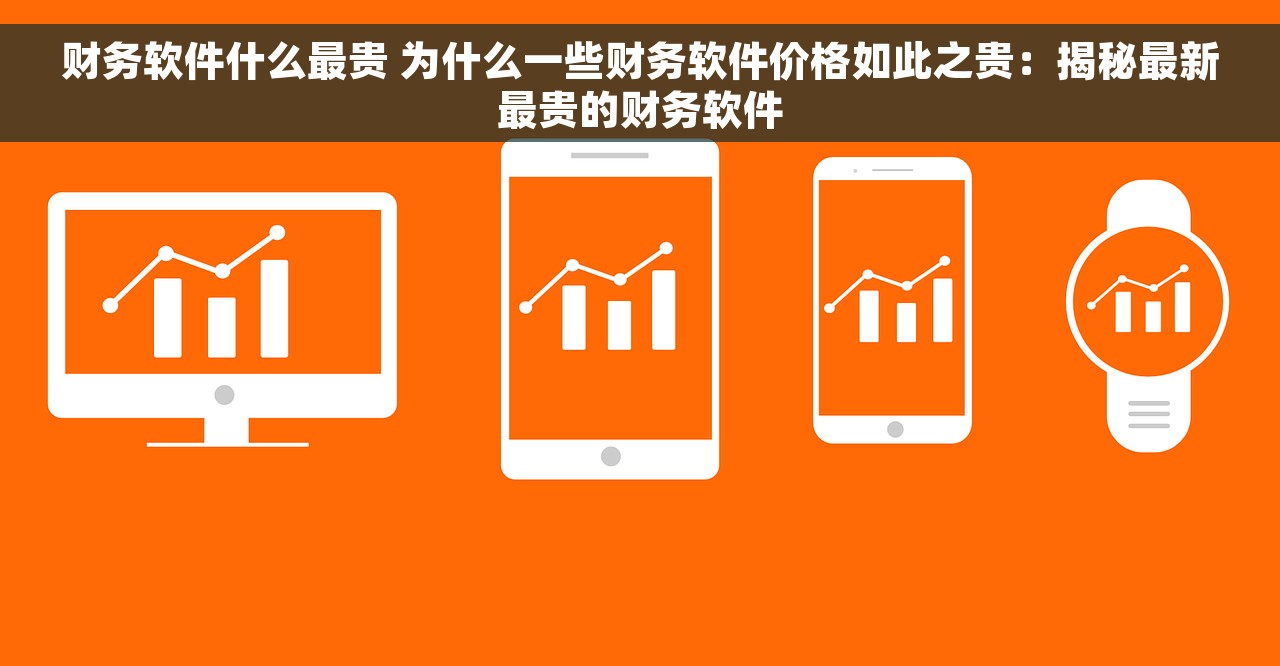财务软件什么最贵 为什么一些财务软件价格如此之贵：揭秘最新最贵的财务软件