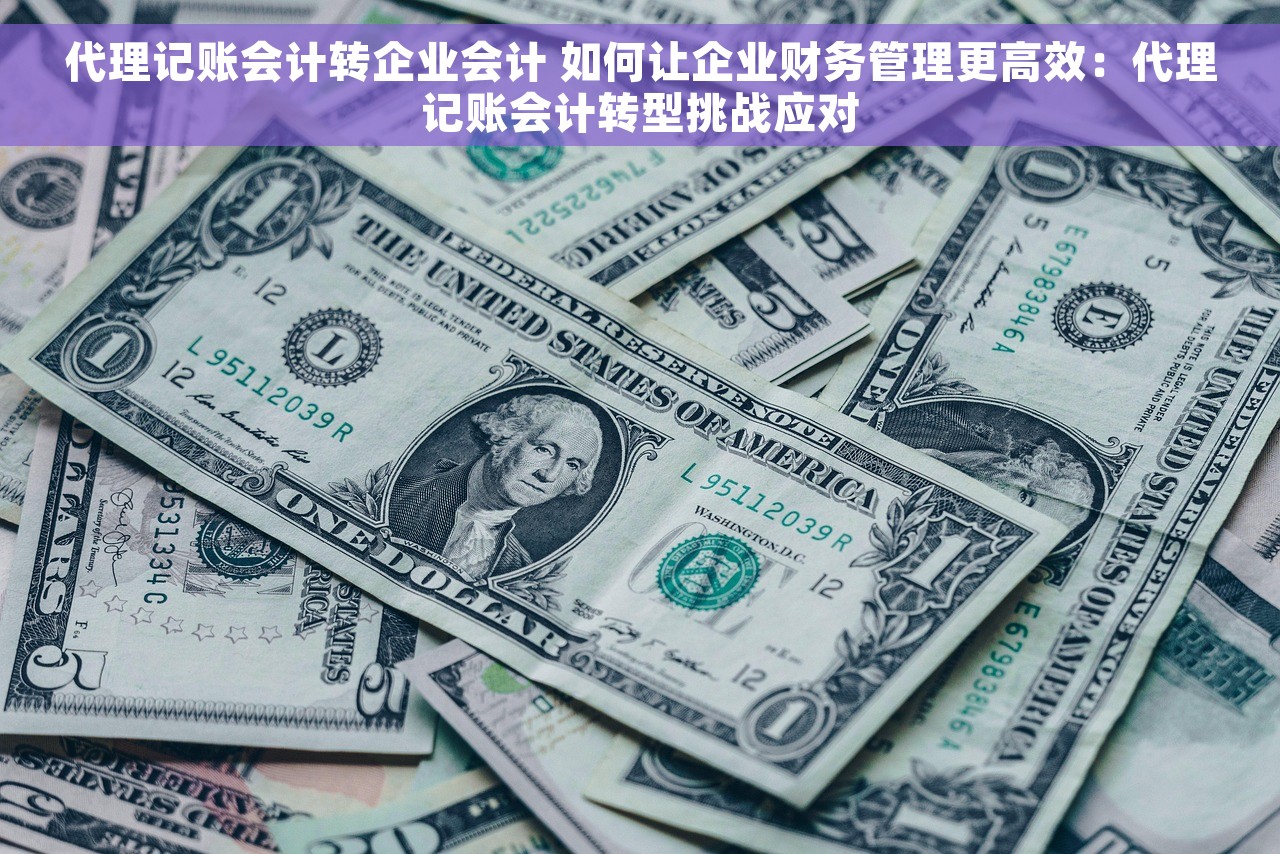 代理记账会计转企业会计 如何让企业财务管理更高效：代理记账会计转型挑战应对