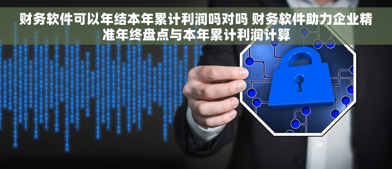 财务软件可以年结本年累计利润吗对吗 财务软件助力企业精准年终盘点与本年累计利润计算
