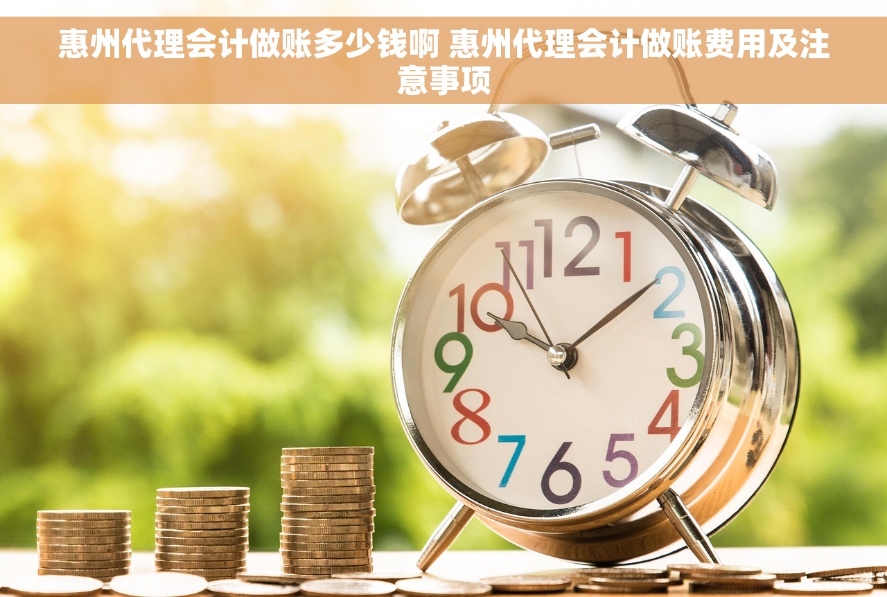 惠州代理会计做账多少钱啊 惠州代理会计做账费用及注意事项