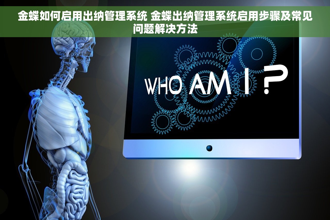 金蝶如何启用出纳管理系统 金蝶出纳管理系统启用步骤及常见问题解决方法