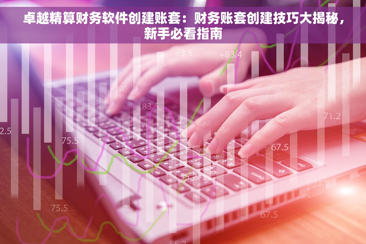 卓越精算财务软件创建账套：财务账套创建技巧大揭秘，新手必看指南