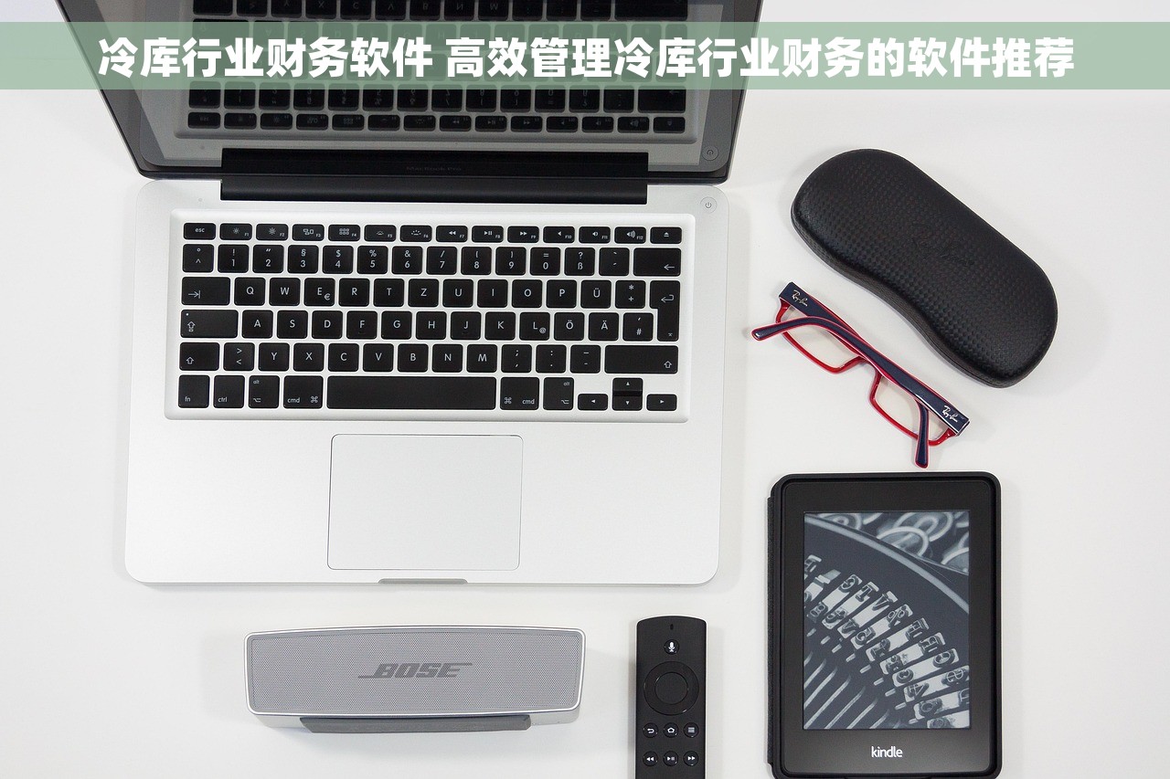 冷库行业财务软件 高效管理冷库行业财务的软件推荐