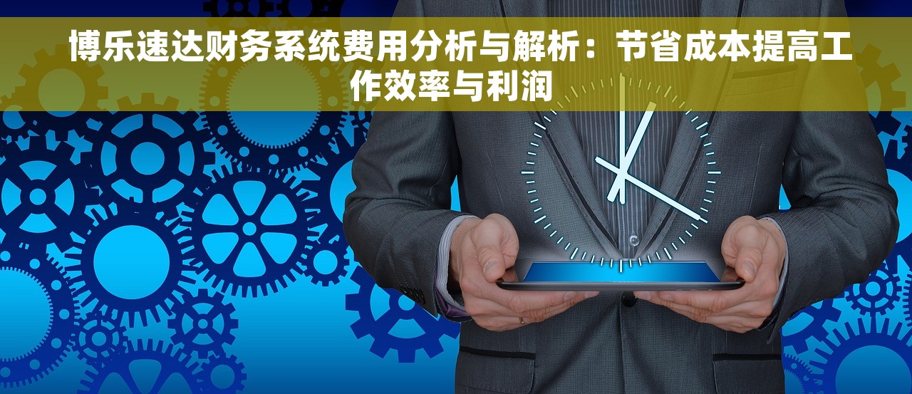  博乐速达财务系统费用分析与解析：节省成本提高工作效率与利润 