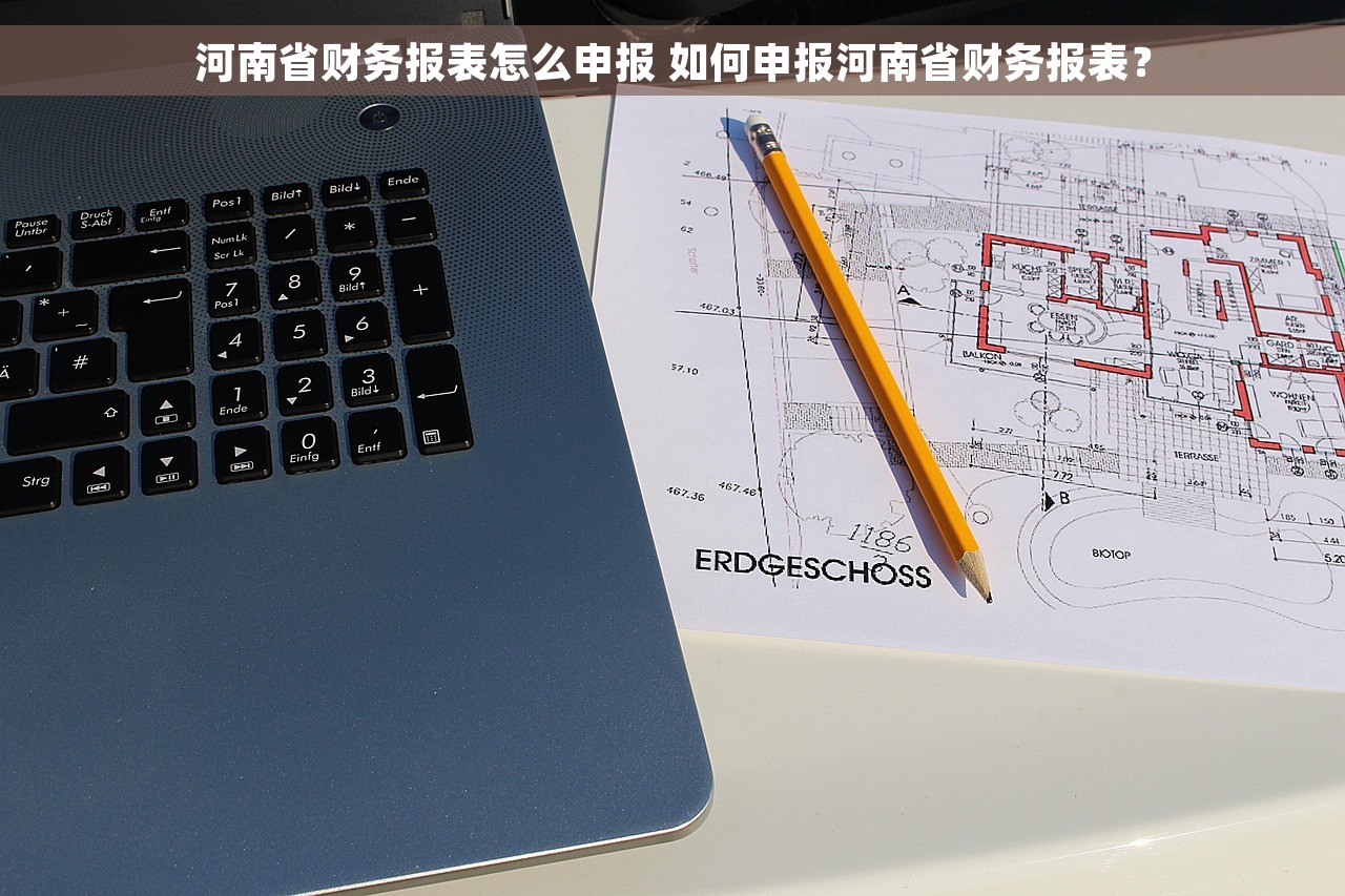 河南省财务报表怎么申报 如何申报河南省财务报表？