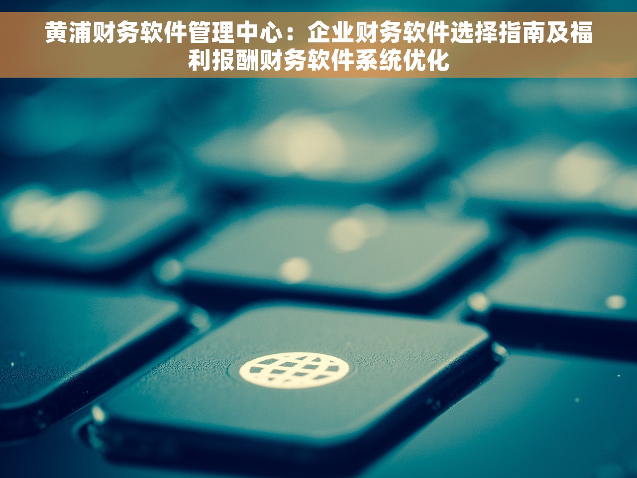 黄浦财务软件管理中心：企业财务软件选择指南及福利报酬财务软件系统优化