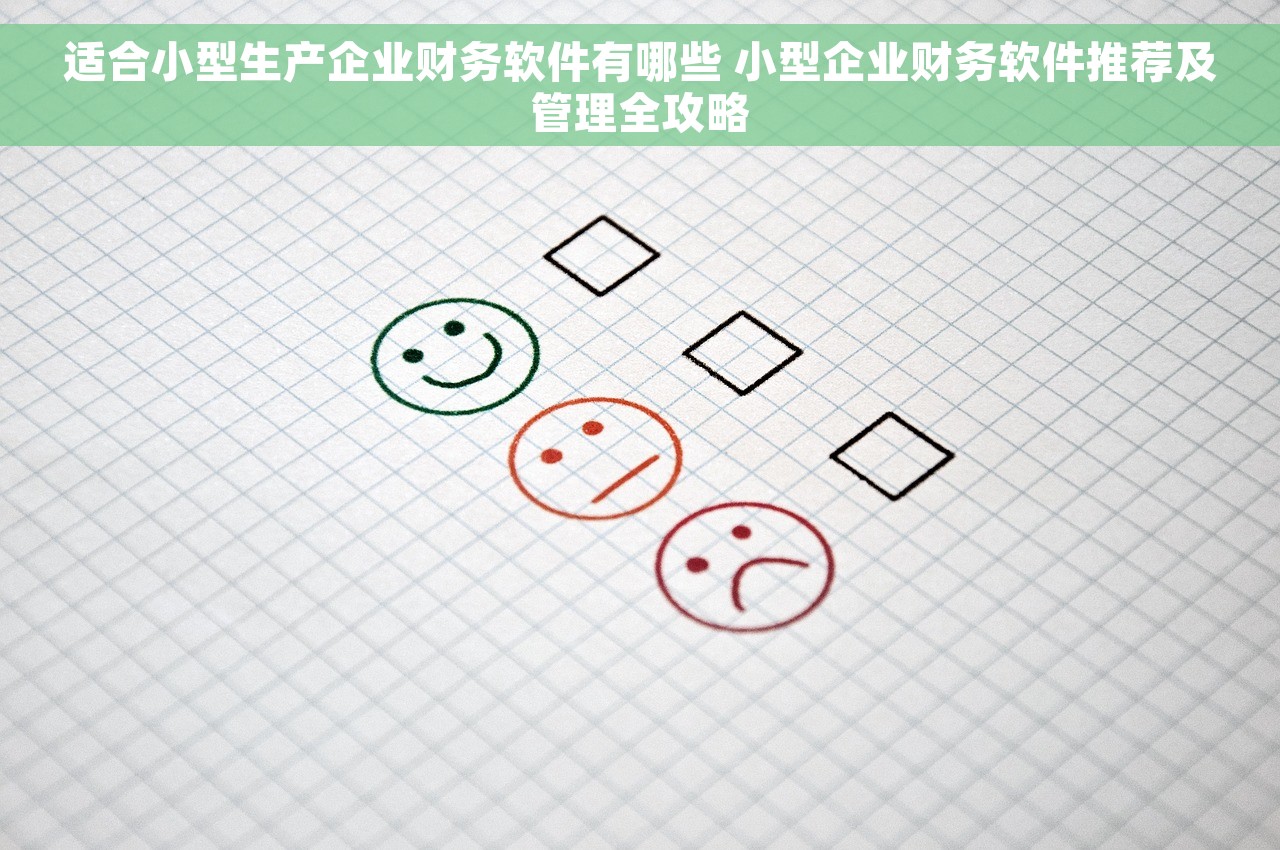 适合小型生产企业财务软件有哪些 小型企业财务软件推荐及管理全攻略
