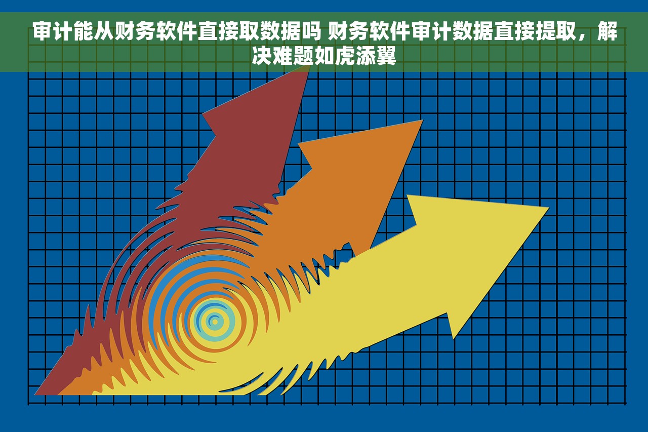 审计能从财务软件直接取数据吗 财务软件审计数据直接提取，解决难题如虎添翼