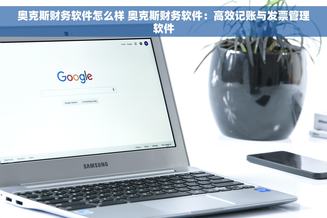 奥克斯财务软件怎么样 奥克斯财务软件：高效记账与发票管理软件