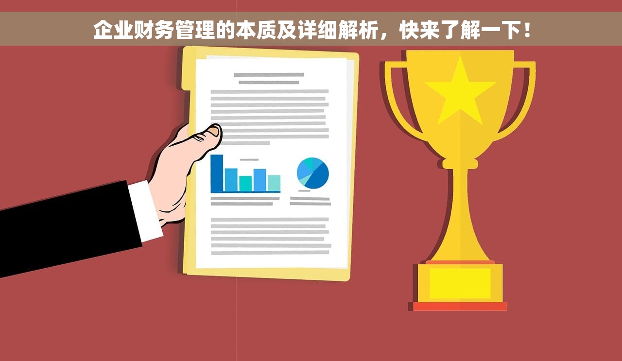 企业财务管理的本质及详细解析，快来了解一下！