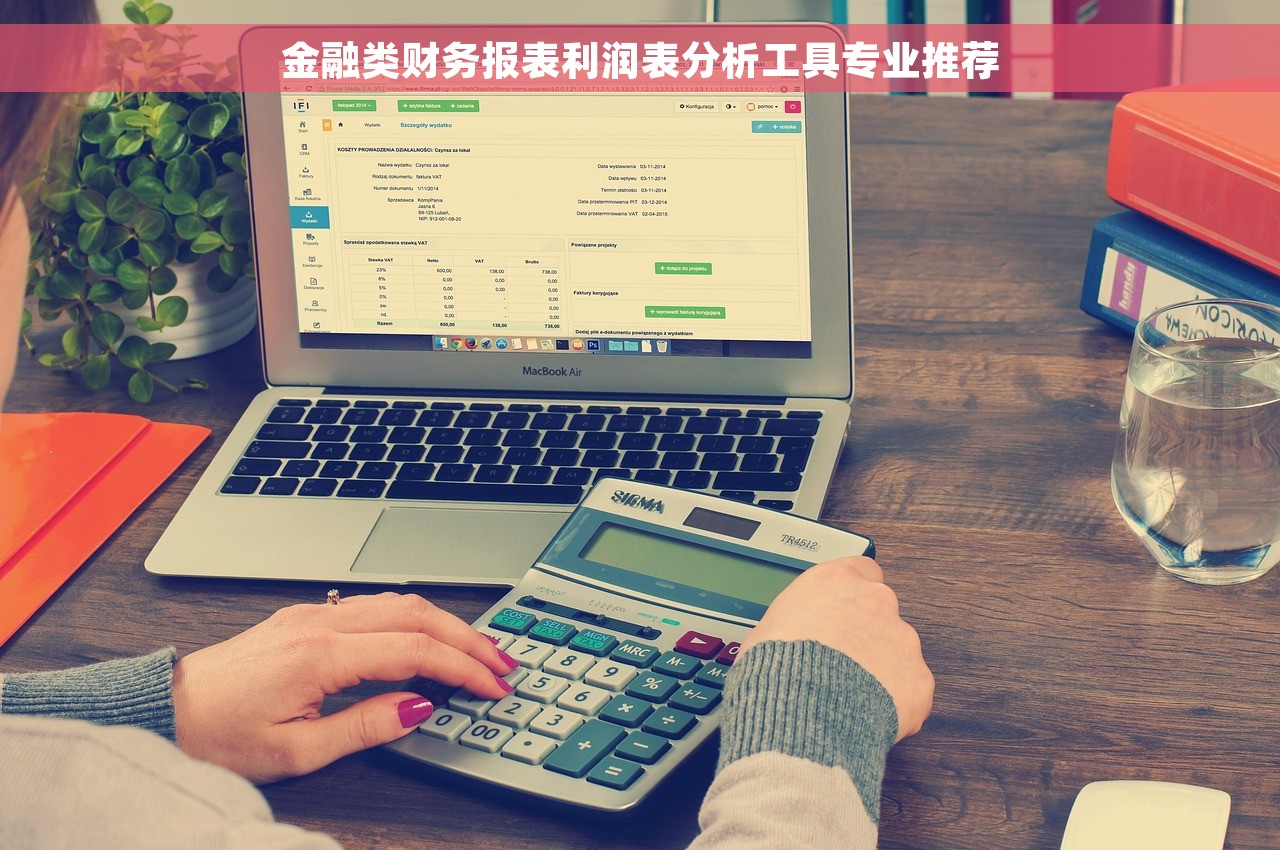 金融类财务报表利润表分析工具专业推荐