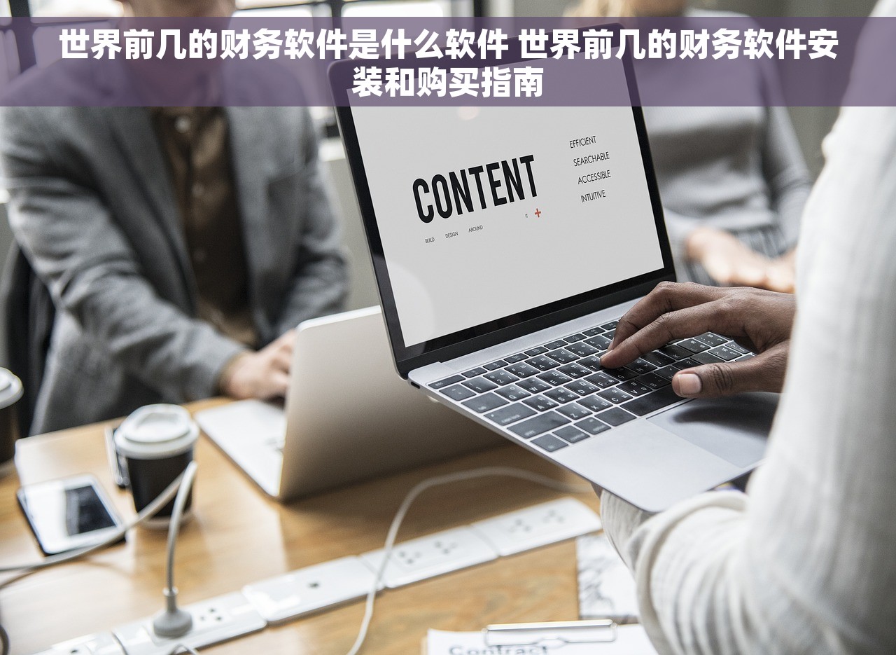 世界前几的财务软件是什么软件 世界前几的财务软件安装和购买指南