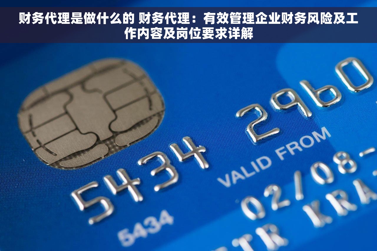 财务代理是做什么的 财务代理:有效管理企业财务风险及工作内容及岗位要求详解 财务代理是做什么的 财务代理:有效管理企业财务风险及工作内容及岗位要求详解