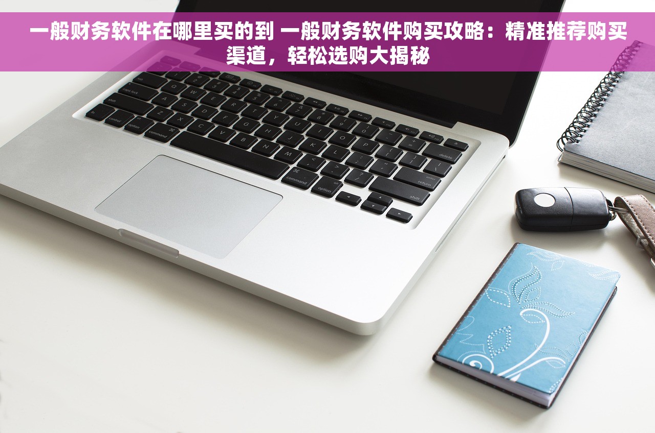 一般财务软件在哪里买的到 一般财务软件购买攻略：精准推荐购买渠道，轻松选购大揭秘