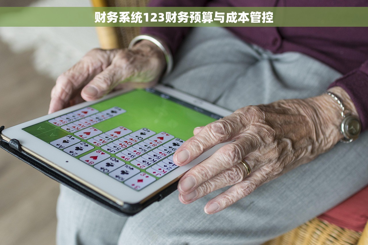 财务系统123财务预算与成本管控